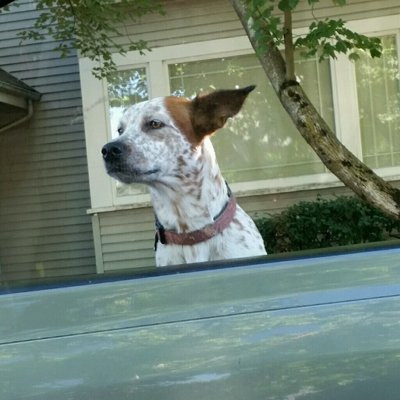 Meet your Posher, Jeana - Picture 1 of 1